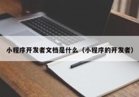 小程序開發(fā)者文檔是什么（小程序的開發(fā)者）