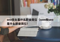 seo優(yōu)化是什么職業(yè)崗位（sem和seo是什么職業(yè)崗位）