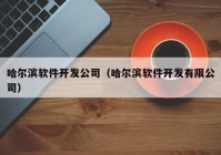 哈爾濱軟件開發(fā)公司（哈爾濱軟件開發(fā)有限公司）