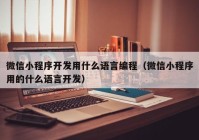 微信小程序開發(fā)用什么語言編程（微信小程序用的什么語言開發(fā)）