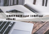 小程序開發(fā)配置appid（小程序appid怎么填）