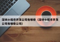 深圳小程序開發(fā)公司有哪些（深圳小程序開發(fā)公司有哪些公司）