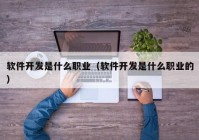 軟件開發(fā)是什么職業(yè)（軟件開發(fā)是什么職業(yè)的）