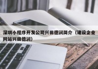 深圳小程序開發(fā)公司興田德潤簡介（建設(shè)企業(yè)網(wǎng)站興田德潤）