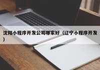 沈陽小程序開發(fā)公司哪家好（遼寧小程序開發(fā)）