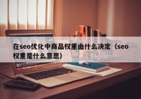 在seo優(yōu)化中商品權重由什么決定（seo權重是什么意思）