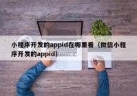 小程序開發(fā)的appid在哪里看（微信小程序開發(fā)的appid）