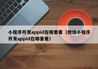 小程序開發(fā)appid在哪里看（微信小程序開發(fā)appid在哪里看）