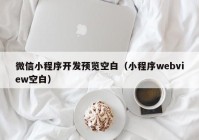 微信小程序開發(fā)預覽空白（小程序webview空白）