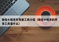 微信小程序開發(fā)者工具介紹（微信小程序的開發(fā)工具是什么）