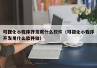 可視化小程序開發(fā)用什么軟件（可視化小程序開發(fā)用什么軟件做）