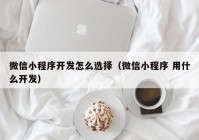 微信小程序開發(fā)怎么選擇（微信小程序 用什么開發(fā)）