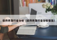 軟件開發(fā)行業(yè)分析（軟件開發(fā)行業(yè)分析報告）