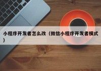 小程序開發(fā)者怎么改（微信小程序開發(fā)者模式）