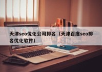 天津seo優(yōu)化公司排名（天津百度seo排名優(yōu)化軟件）